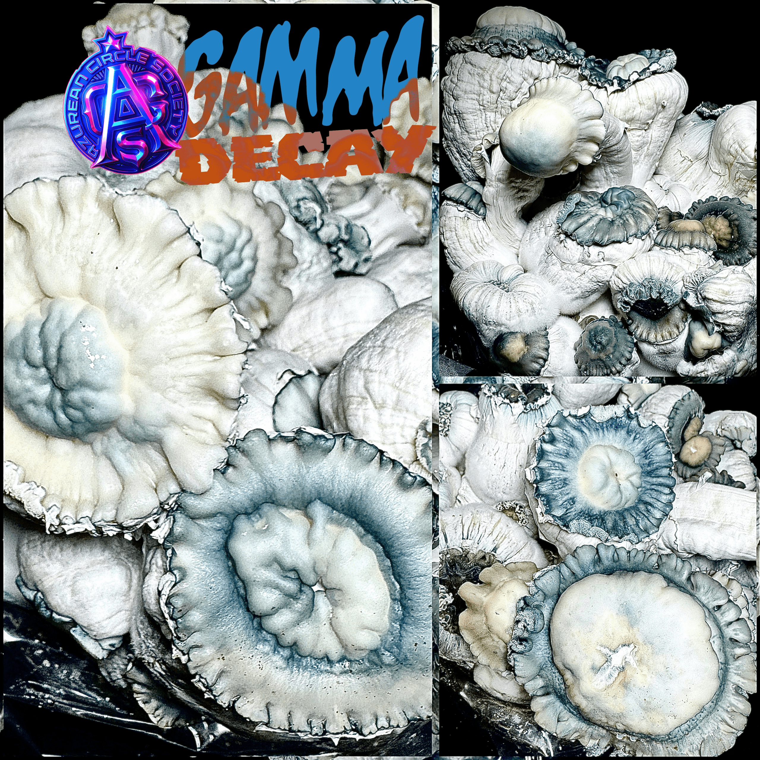 DreadMaw (Gamma Decay iso) - Colonised Plate 90mm
